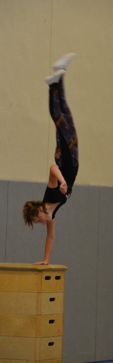 Turnen Sportfest19