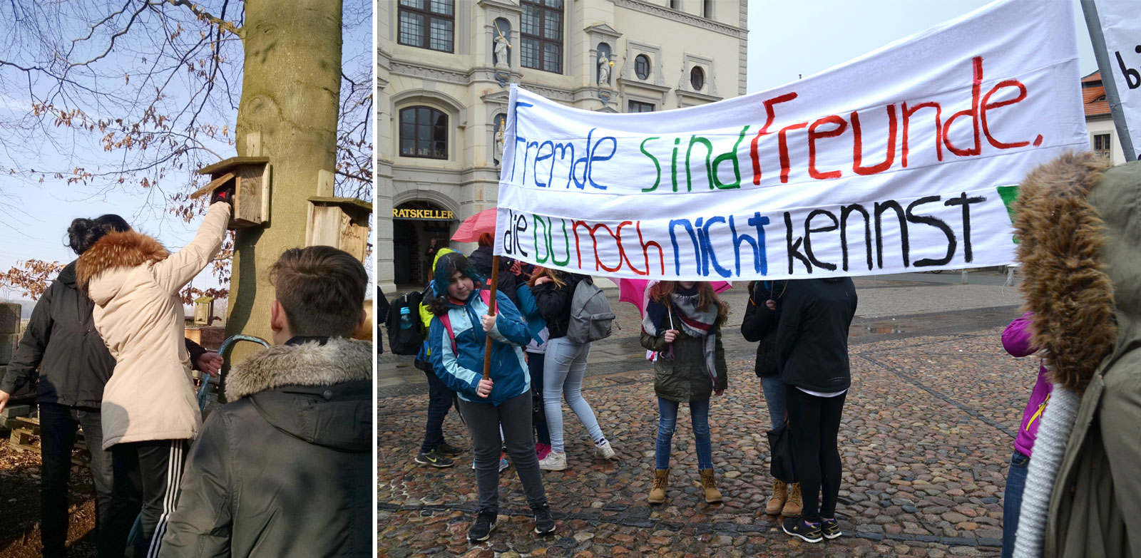Unesco_Schaubilb